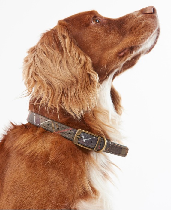 Collier pour chien tartan en cuir Barbour