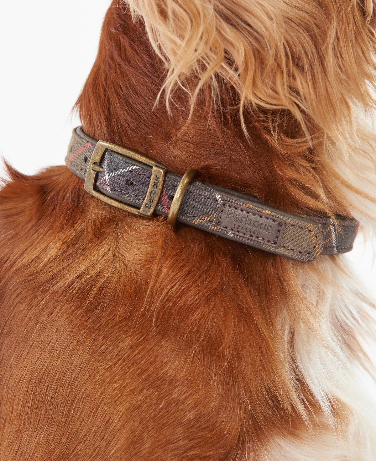 Collier pour chien tartan en cuir Barbour