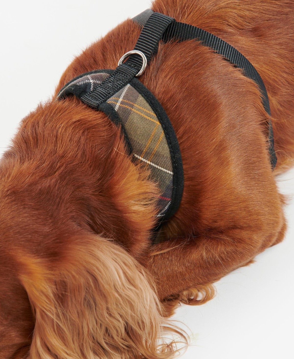 Harnais chien tartan Barbour