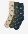 Chaussettes chien homme Pointer Dog Barbour