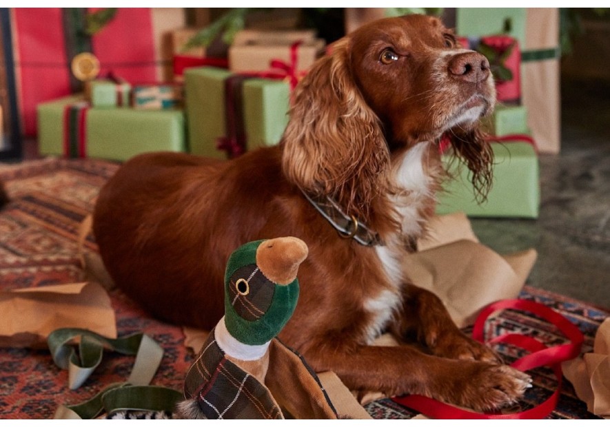 Collection Barbour dog : Élégance et confort pour votre compagnon à quatre pattes