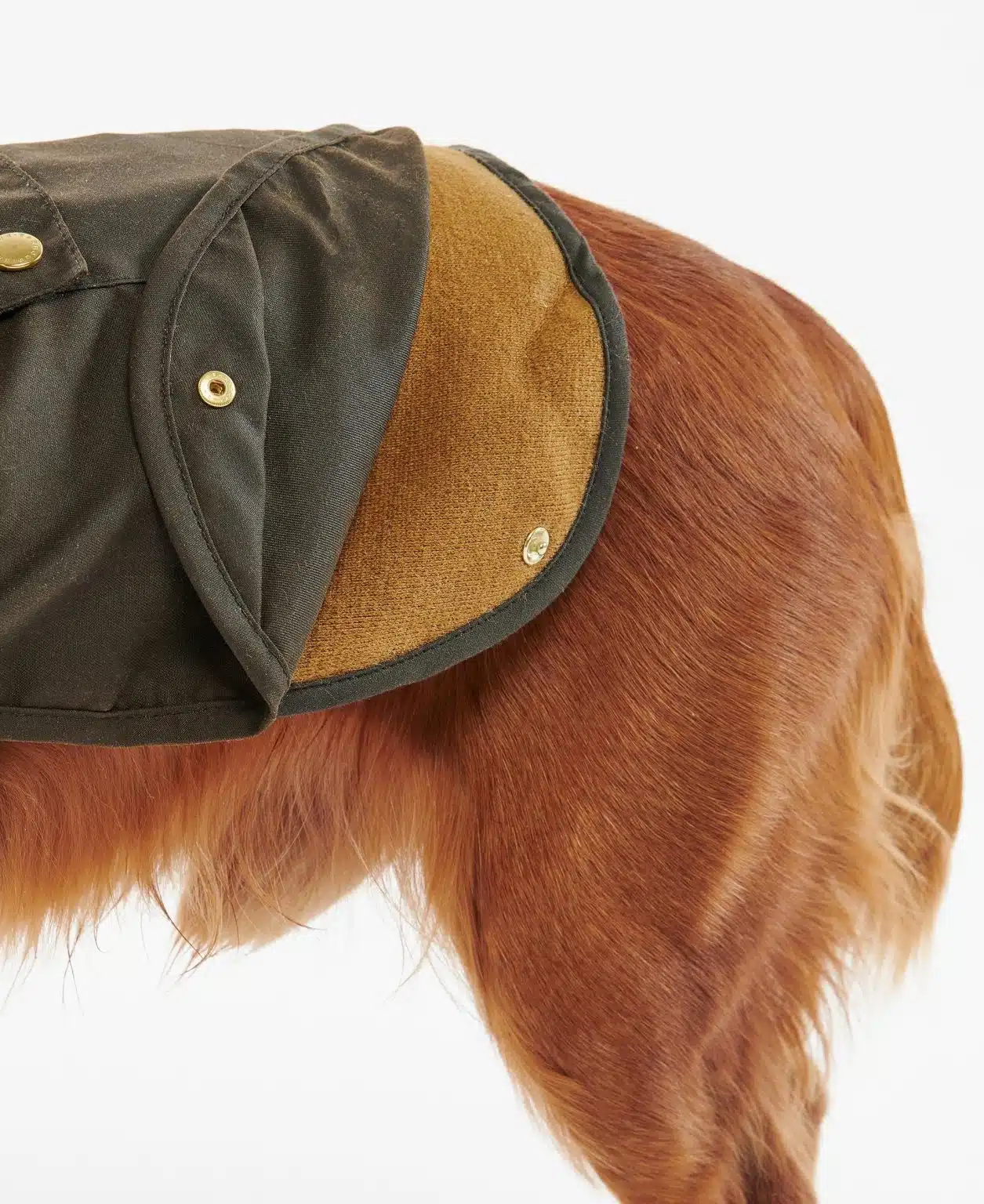 Manteau pour chien huilé 2 en 1 Barbour