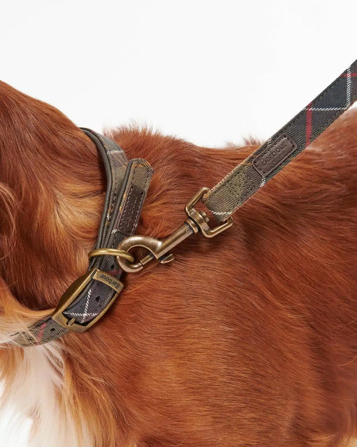 Laisse pour chien en tartan Webbing Barbour