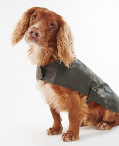 Manteau chien huilé Barbour vert olive