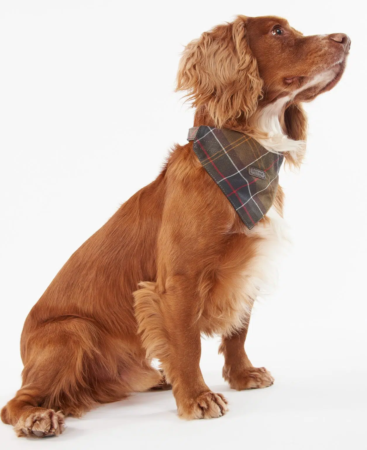 Bandana pour chien en tartan – Image 7