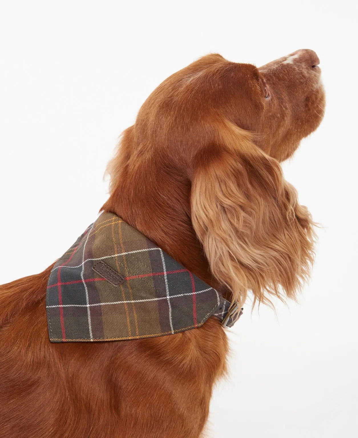 Bandana pour chien en tartan – Image 6